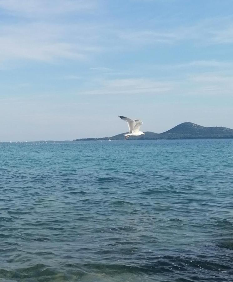 فندق Peponi Del Mar II بيوغْغاد نا موغو المظهر الخارجي الصورة